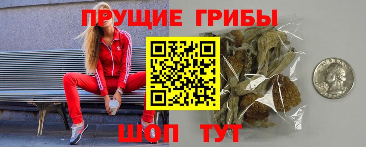Псилоцибиновые грибы Cubensis Жигулёвск