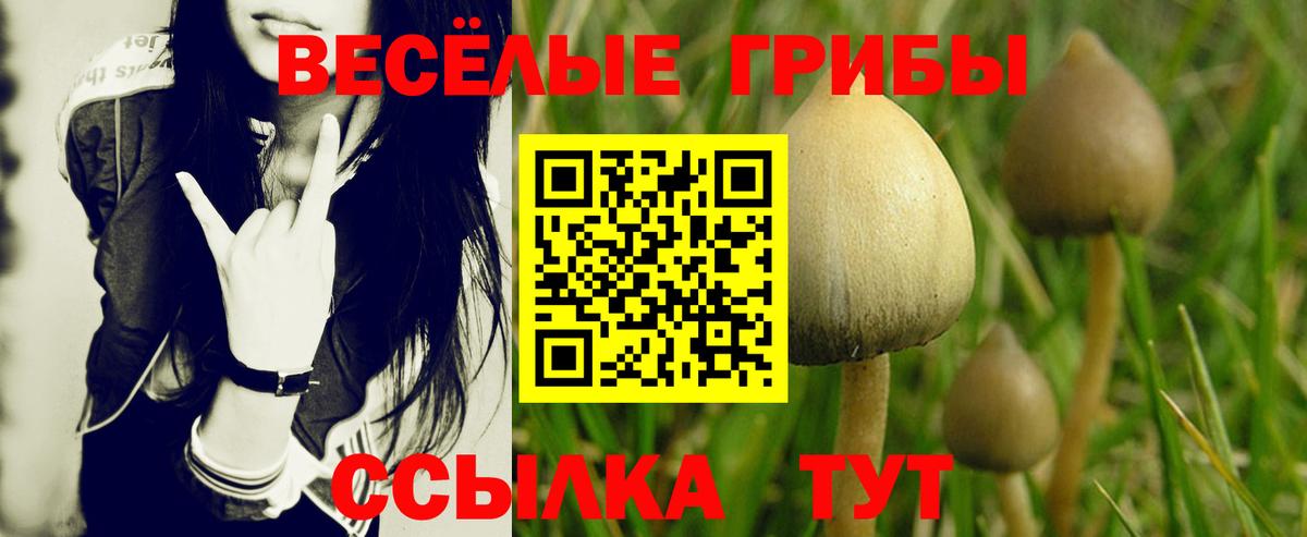 Галлюциногенные грибы прущие грибы  Вход с VPN  Псилоцибиновые грибы мицелий  Жигулёвск 